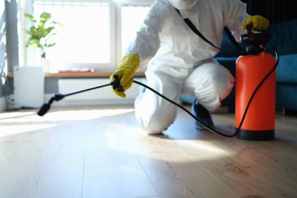 Trusted Sewage Cleanup service in Vienna, GA - Four Month Blood Cleanse